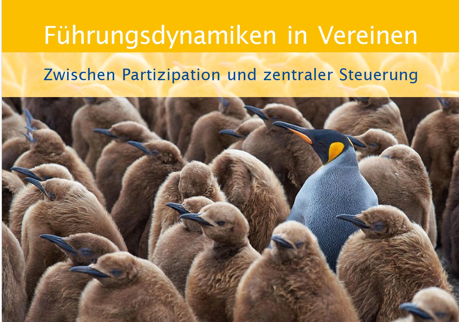 werbefoto für website